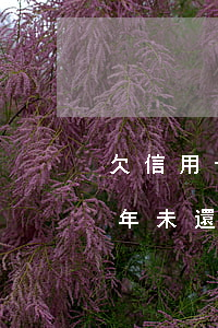 欠信用卡兩年后還清算逾期嗎，信用卡逾期兩年未還，現(xiàn)在償還是否算逾期？
